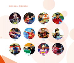 鲁能乒乓健儿 星耀伦敦奥运——广播电视节目制作经营视角下的体育精神传播